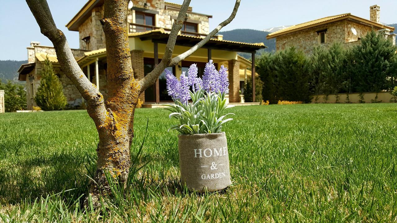 Mountain Chalet Livadi Arachova Dış mekan fotoğraf