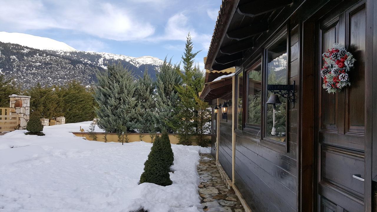 Mountain Chalet Livadi Arachova Dış mekan fotoğraf